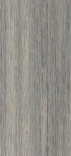 Brush